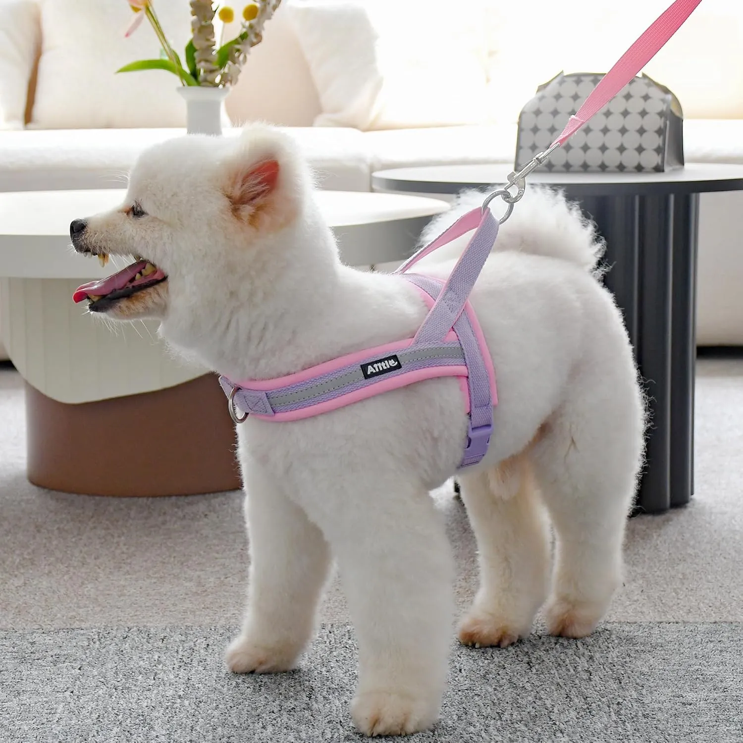 AIITLE No Pull Dog Harness with Soft Padded Handle, Reflective Strip Escape Proof and Quick Fit to Adjust Puppy Harnesses, Easy for Training Walking Running for Extra Small Dogs Purple-Pink XXS