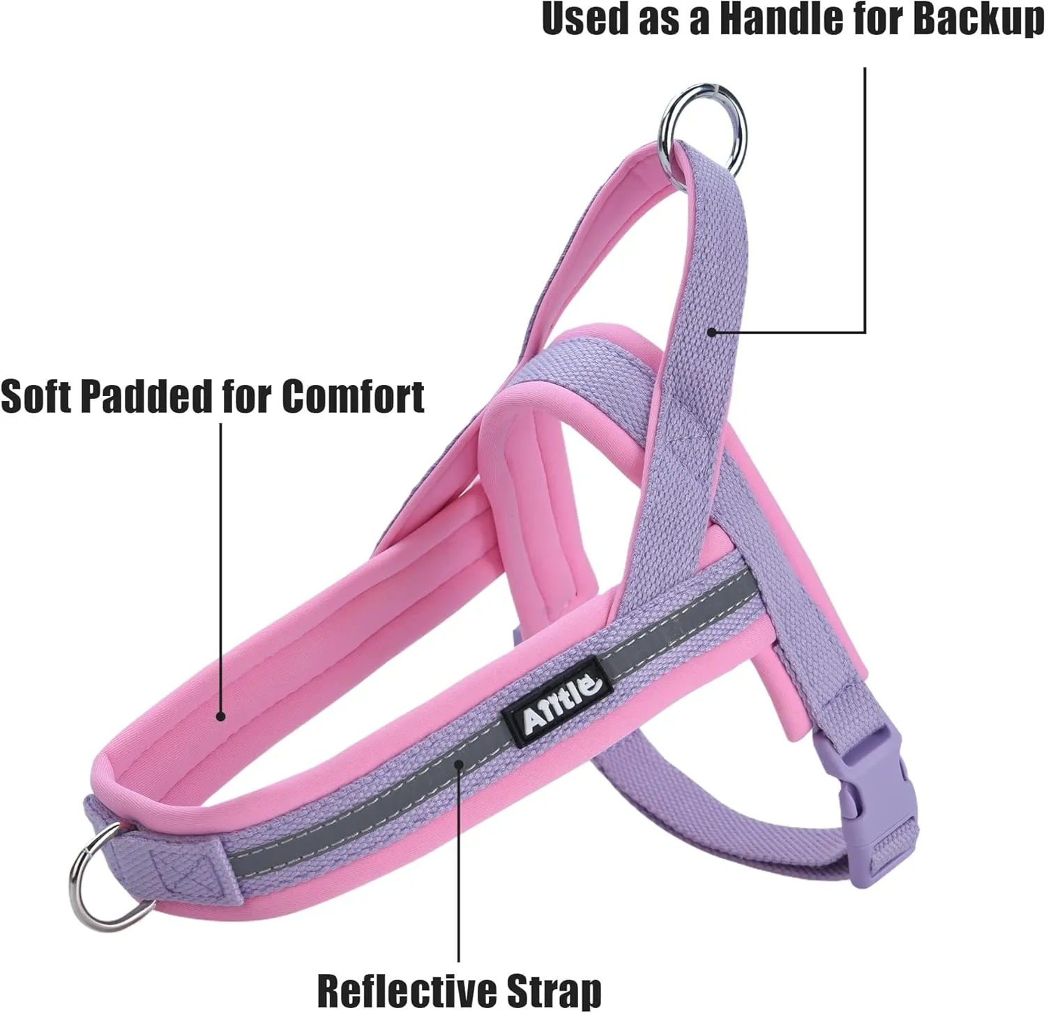 AIITLE No Pull Dog Harness with Soft Padded Handle, Reflective Strip Escape Proof and Quick Fit to Adjust Puppy Harnesses, Easy for Training Walking Running for Extra Small Dogs Purple-Pink XXS