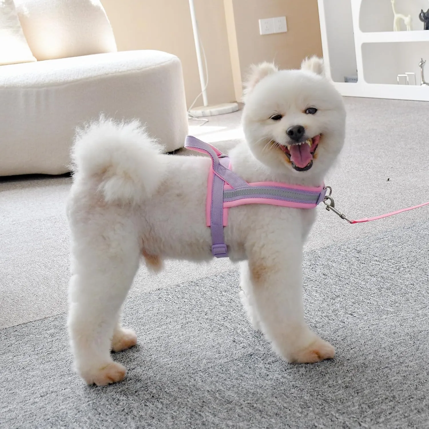 AIITLE No Pull Dog Harness with Soft Padded Handle, Reflective Strip Escape Proof and Quick Fit to Adjust Puppy Harnesses, Easy for Training Walking Running for Extra Small Dogs Purple-Pink XXS