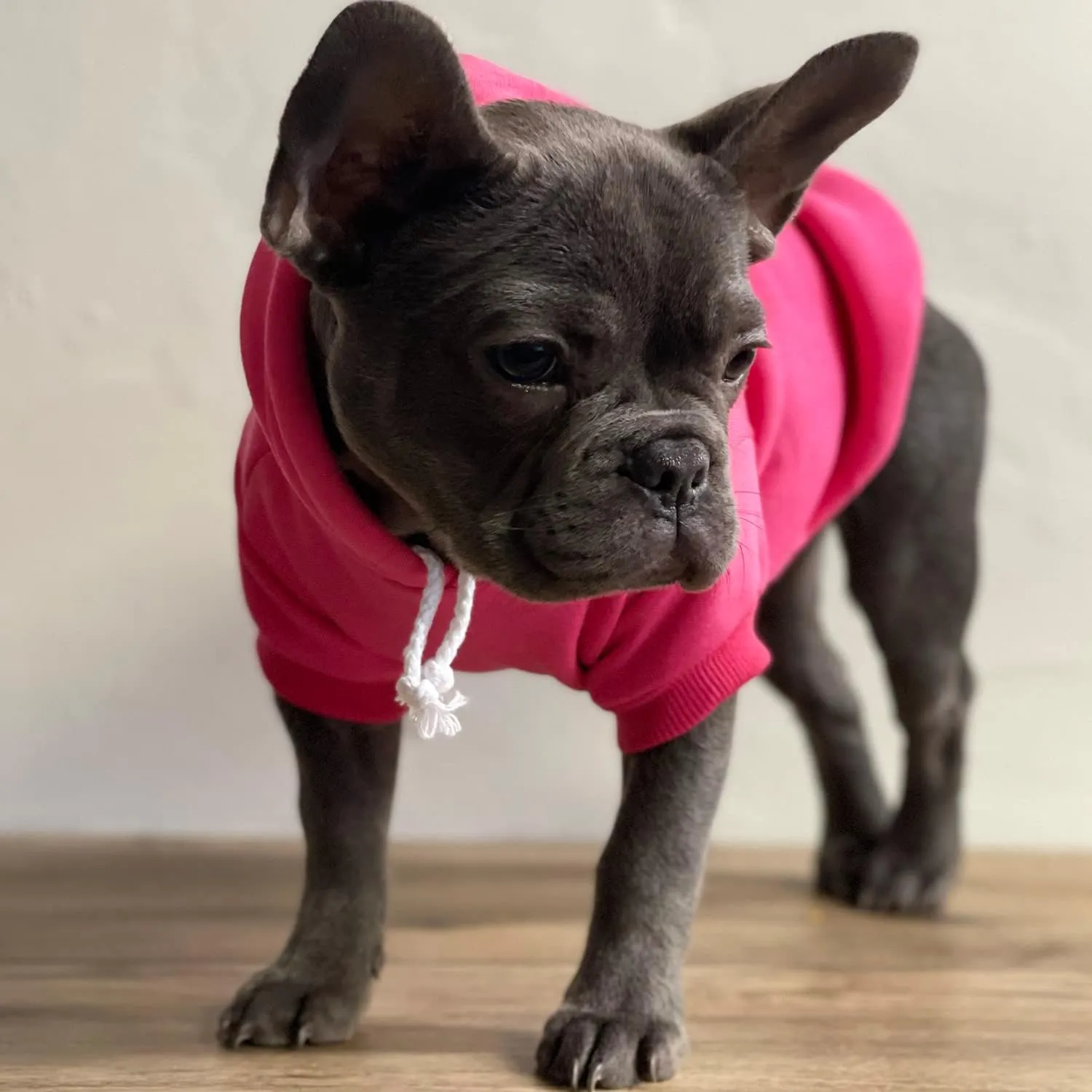 Big Brother Heart Paw Pullover Fleece Lined Dog Hoodie (Green Hooded Sweatshirt)