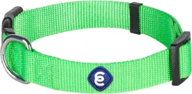Blueberry Pet Essentials  |  |  |  | 