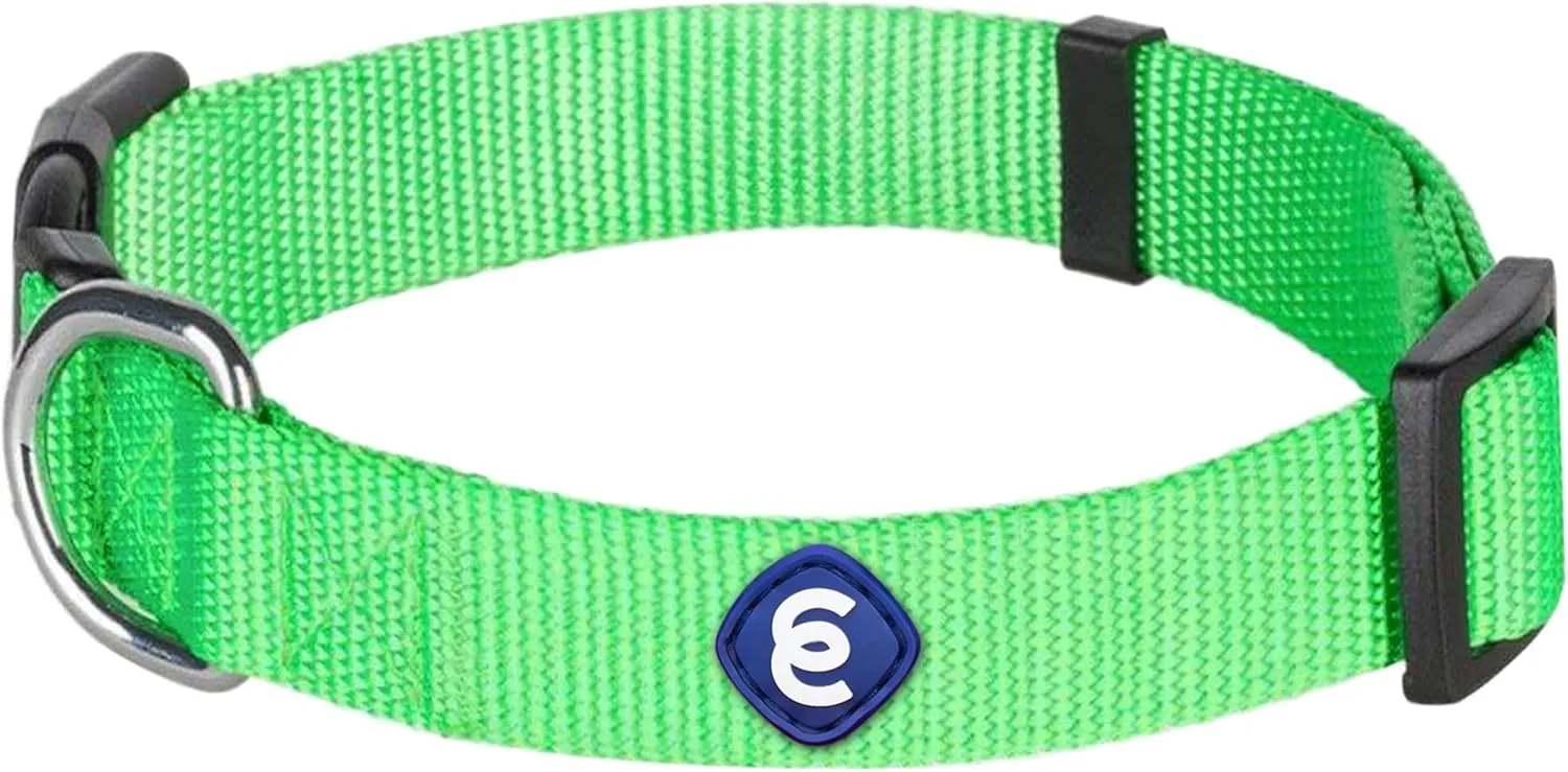 Blueberry Pet Essentials  |  |  |  | 
