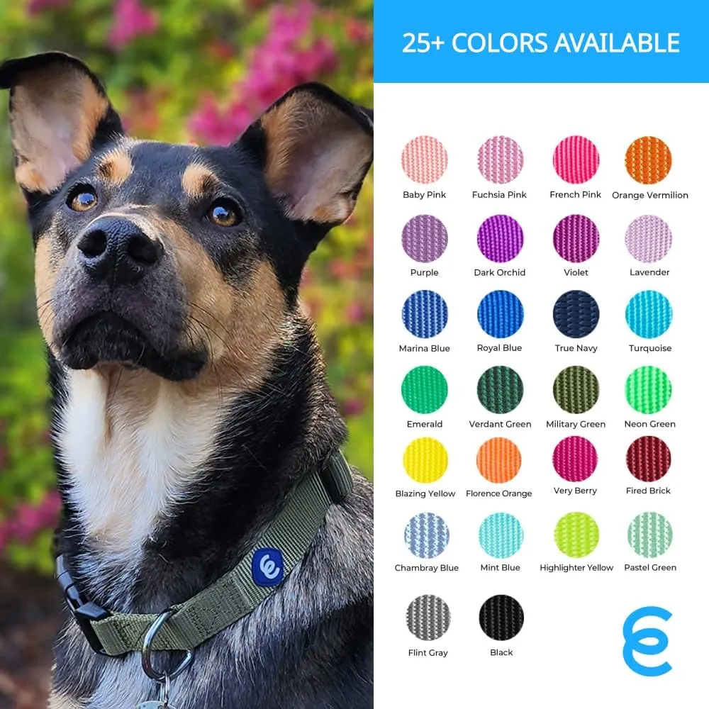 Blueberry Pet Essentials  |  |  |  | 
