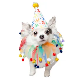 Celebration/Birthday Pet Hat & Collar Set