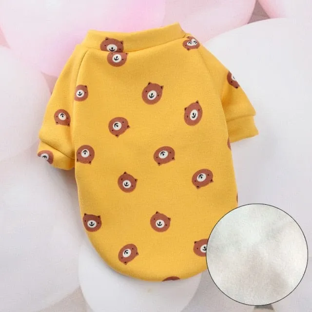 Cosy Cat Suit