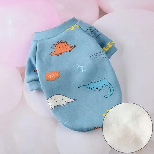 Cosy Cat Suit