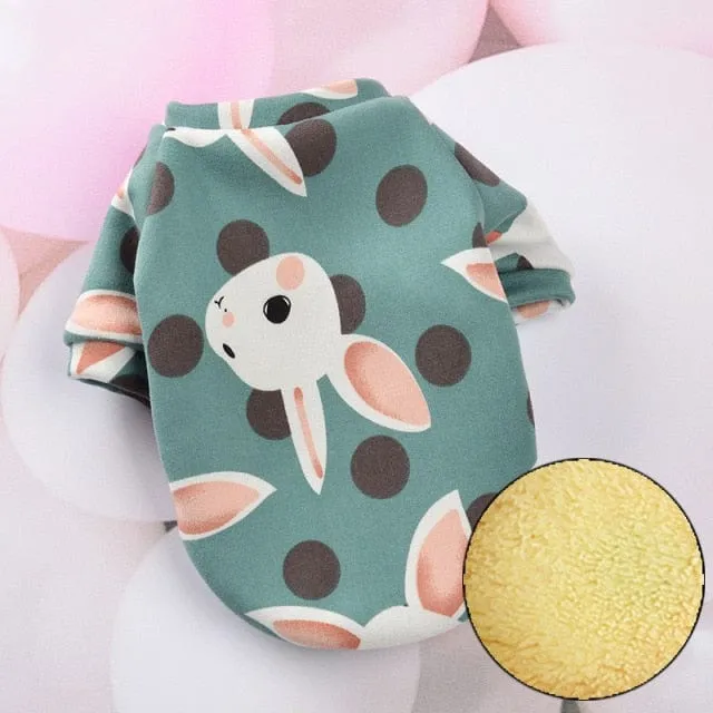 Cosy Cat Suit