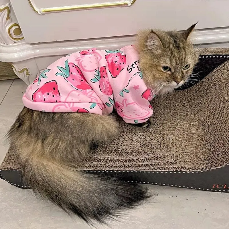 Cosy Cat Suit