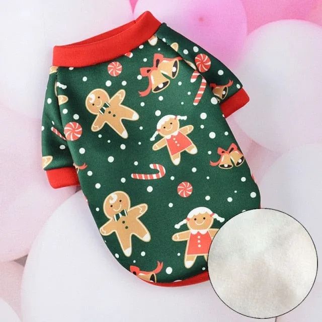 Cosy Cat Suit