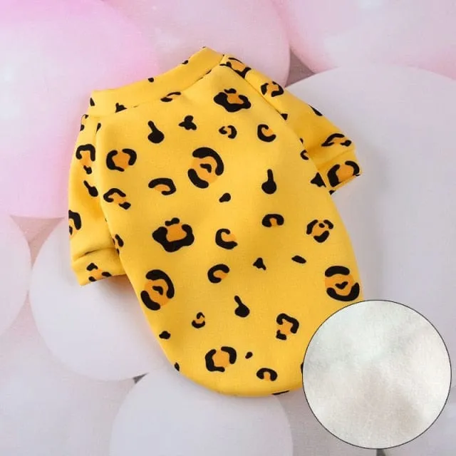 Cosy Cat Suit