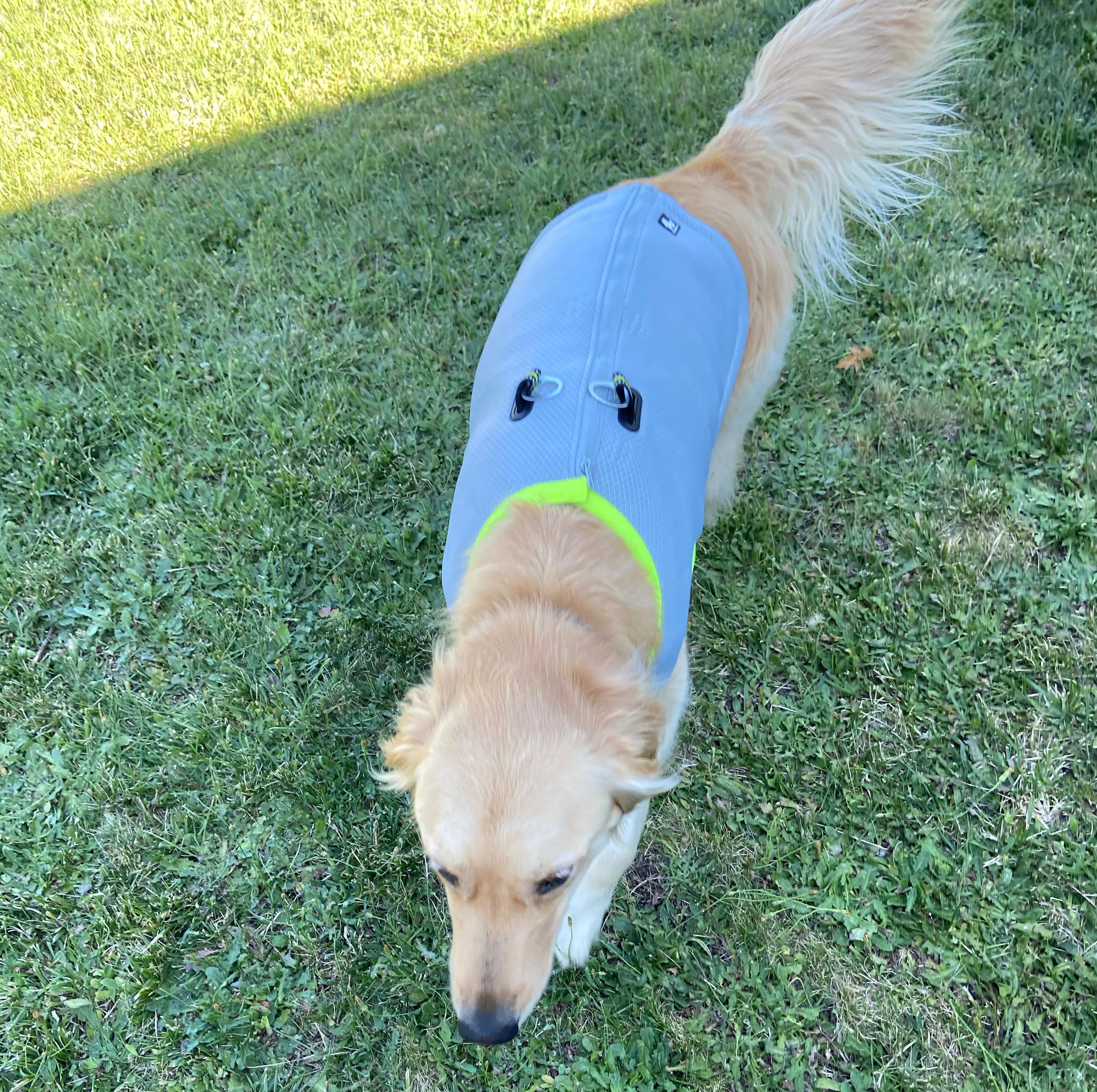 Dog Cooling Reflective Vest & Harness (Green or Orange) by Truelove