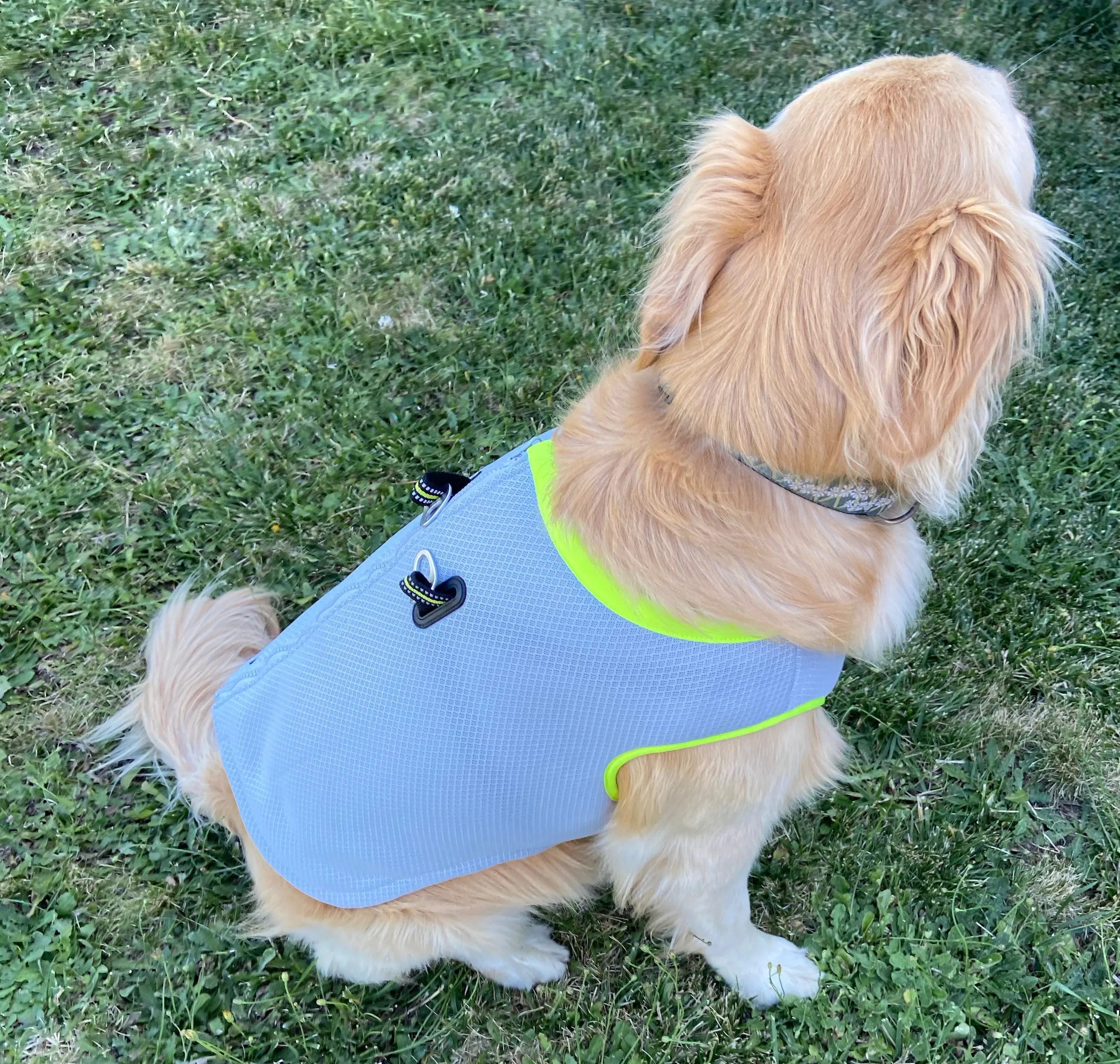 Dog Cooling Reflective Vest & Harness (Green or Orange) by Truelove