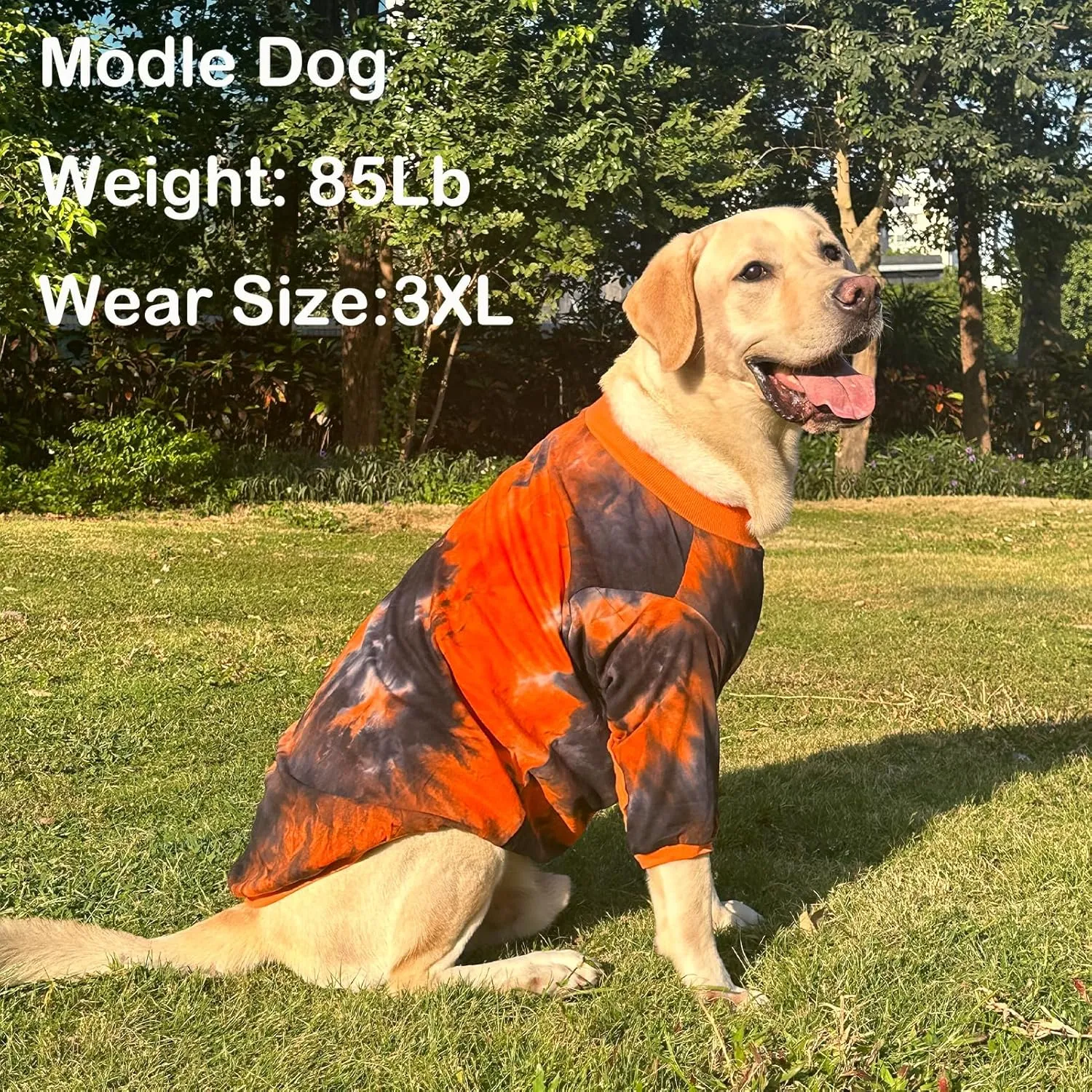 Dog Cotton Colorful Black Orange T-Shirts Soft and Stretchy Dog Shirt Pajamas Pets Clothes for Extra Large Dogs(2XL Black)
