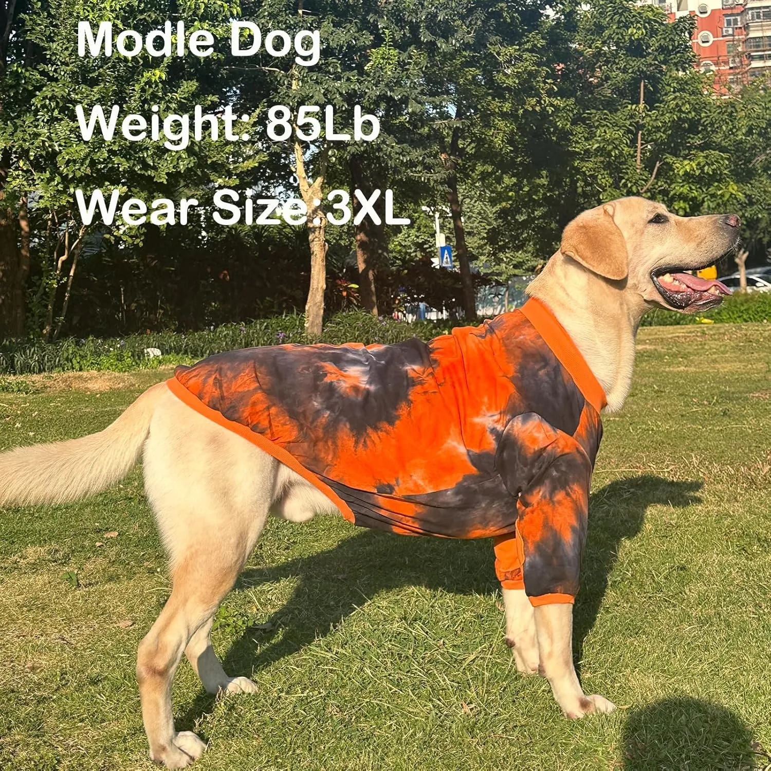 Dog Cotton Colorful Black Orange T-Shirts Soft and Stretchy Dog Shirt Pajamas Pets Clothes for Extra Large Dogs(2XL Black)