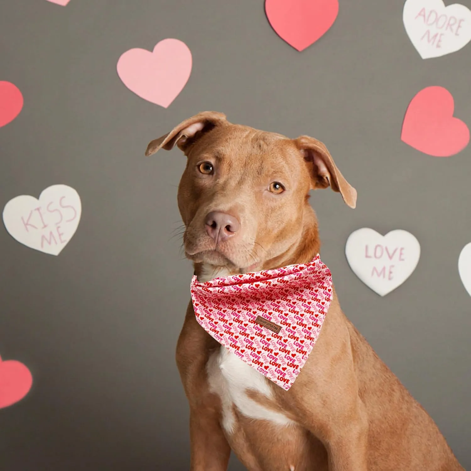Elegant little tail Dog Bandana, Valentine's 1PC Washable Dog Scarf Female or Male Square Dog Bib Kerchief Scarf Adjustable Pet Bandana for Medium Large Dogs