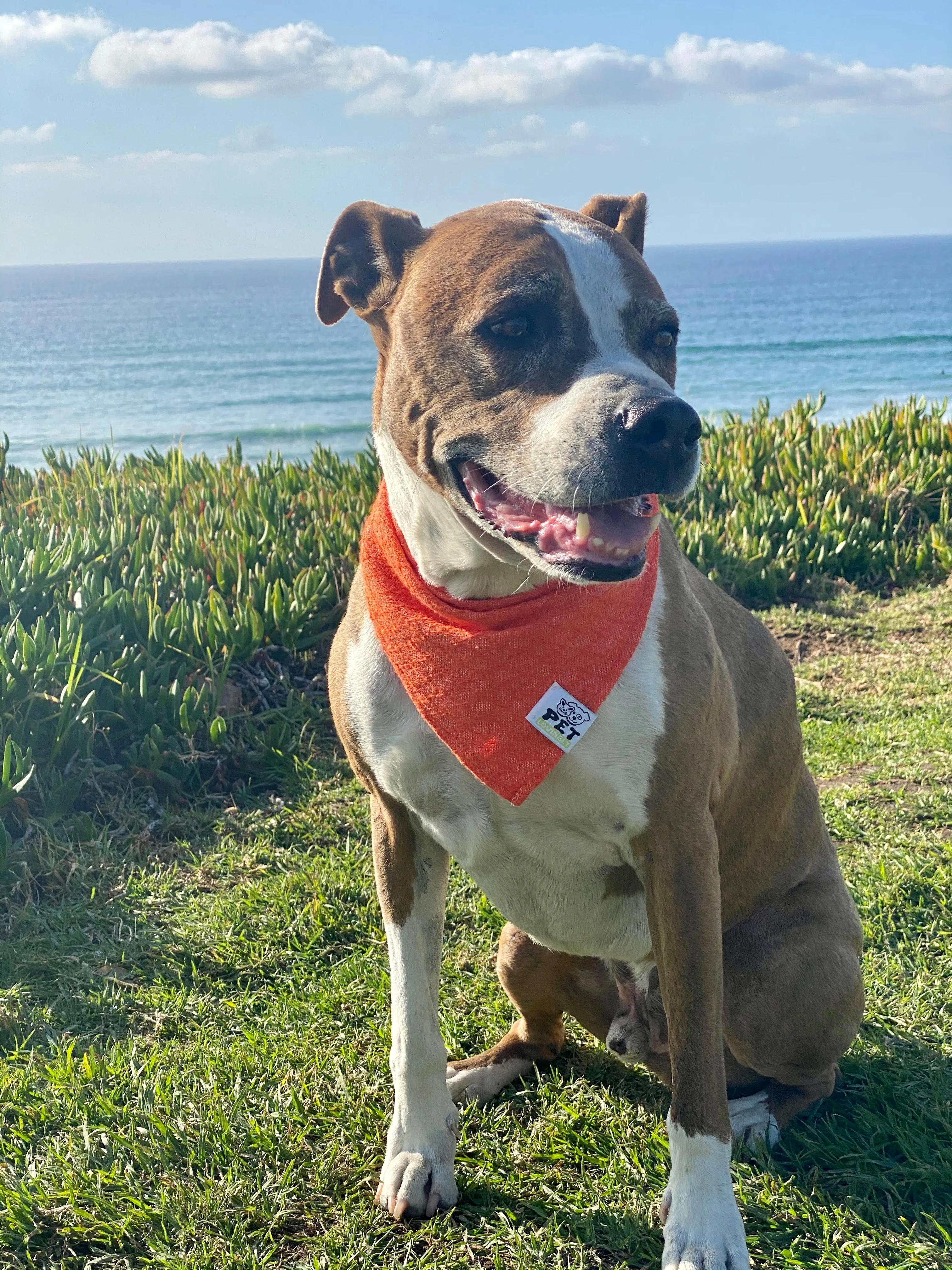 Facil Bandana