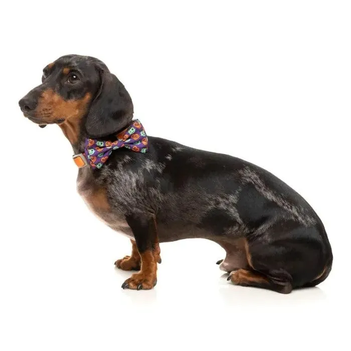 FuzzYard Be My Ghoul Bowtie Purple Small