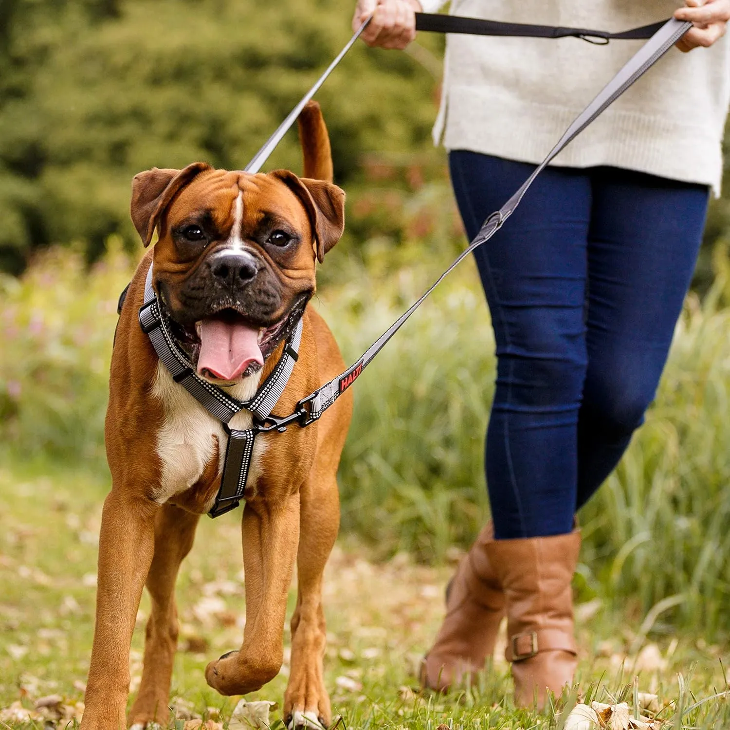 HALTI Double-Ended Leash for Dogs - Neoprene-Padded, Easy to Use, Reflective, Adjustable Lengths, Ideal Dog Leash for Hands Free Running & Training. Suitable for Medium and Large Dogs (Size L, Purple)