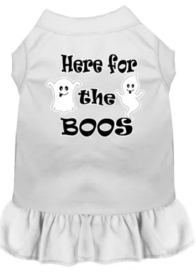 Here For The Boos Screen Print Dog Dress White Xxl (18)