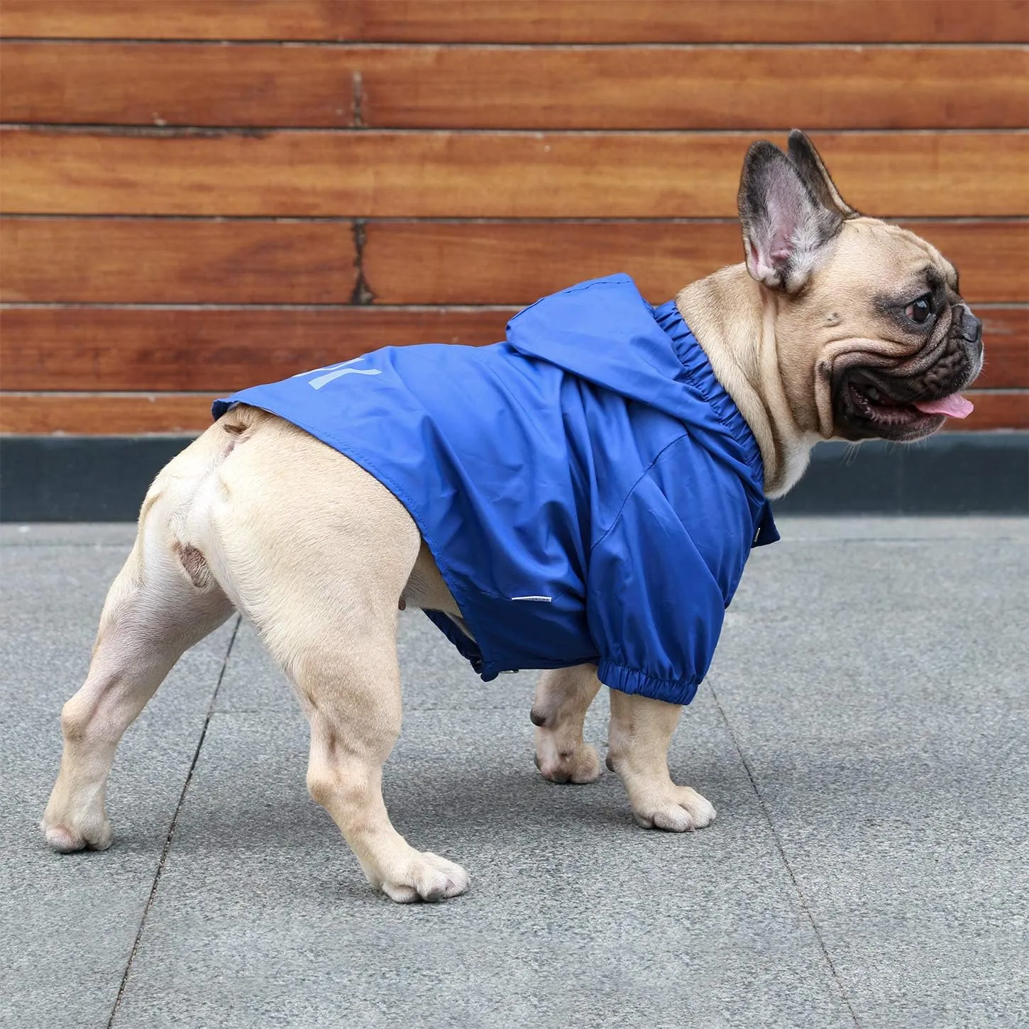 iChoue Dog Cold Weather Coats Water Resistant Raincoats Lightweight Windbreaker Hooded Jackets for French English Bulldog Pitbull Pug Boston Terriers Outdoor Rain Coat - Blue, Large Plus