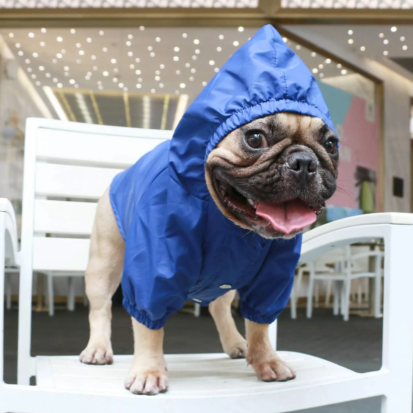 iChoue Dog Cold Weather Coats Water Resistant Raincoats Lightweight Windbreaker Hooded Jackets for French English Bulldog Pitbull Pug Boston Terriers Outdoor Rain Coat - Blue, Large Plus