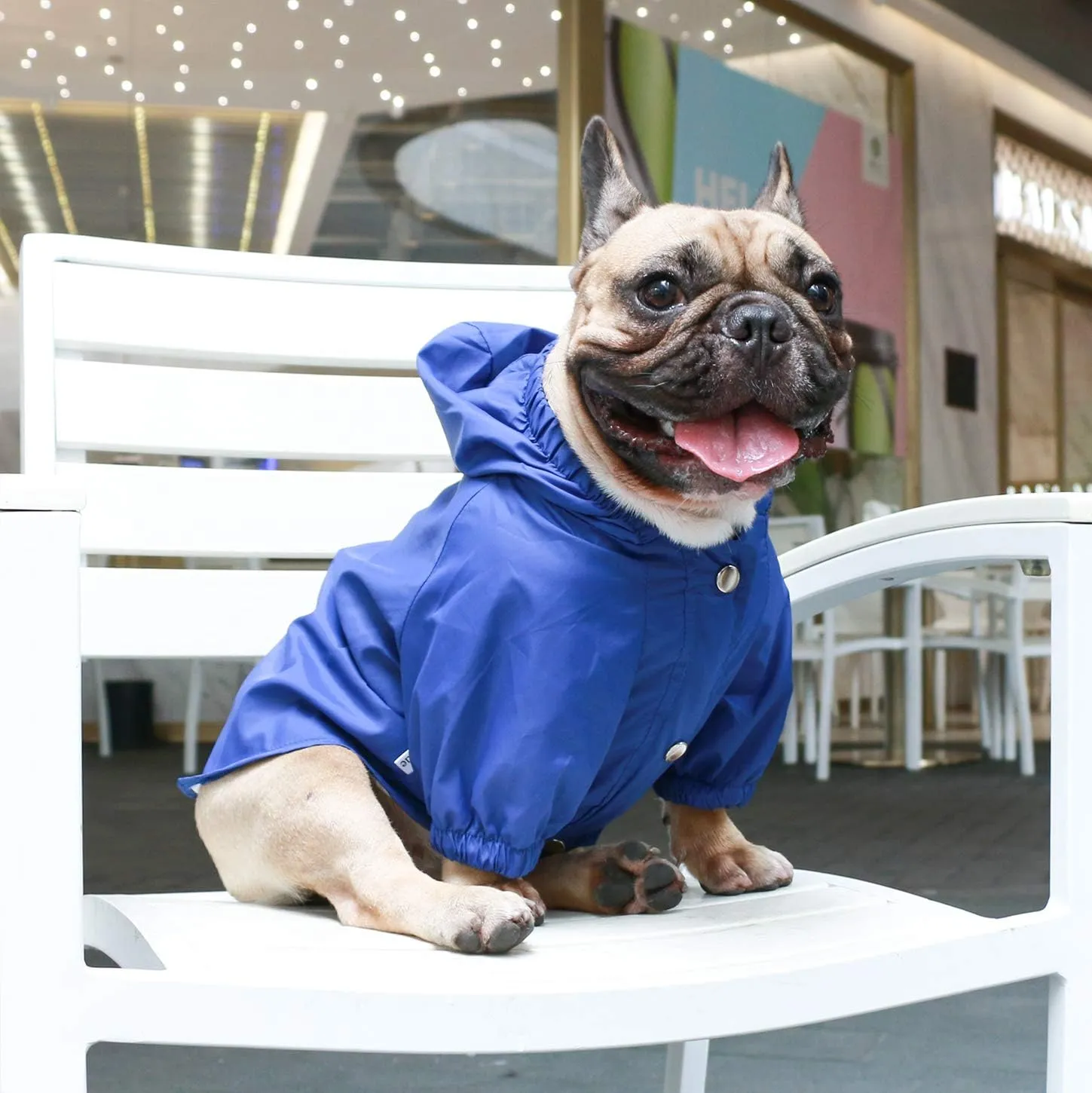 iChoue Dog Cold Weather Coats Water Resistant Raincoats Lightweight Windbreaker Hooded Jackets for French English Bulldog Pitbull Pug Boston Terriers Outdoor Rain Coat - Blue, Large Plus