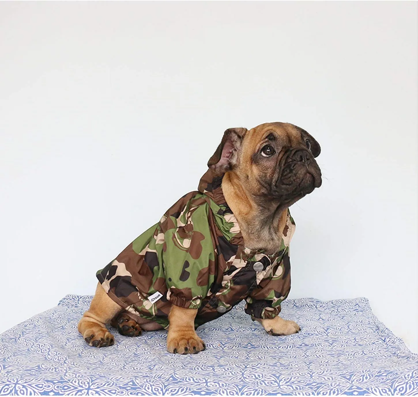 iChoue Dog Cold Weather Coats Water Resistant Raincoats Lightweight Windbreaker Hooded Jackets for French English Bulldog Pitbull Pug Boston Terriers Outdoor Rain Coat - Camouflage, Small
