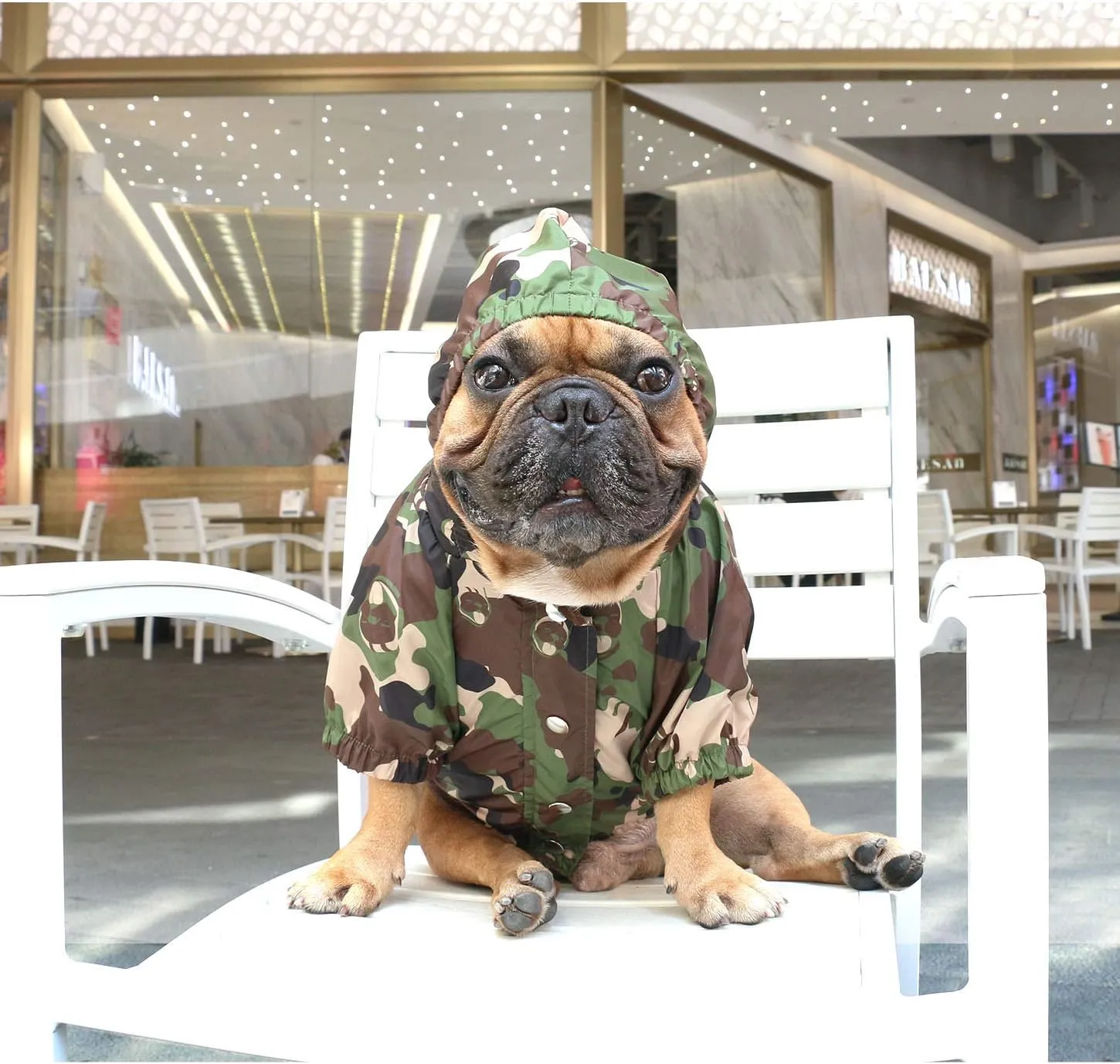 iChoue Dog Cold Weather Coats Water Resistant Raincoats Lightweight Windbreaker Hooded Jackets for French English Bulldog Pitbull Pug Boston Terriers Outdoor Rain Coat - Camouflage, Small