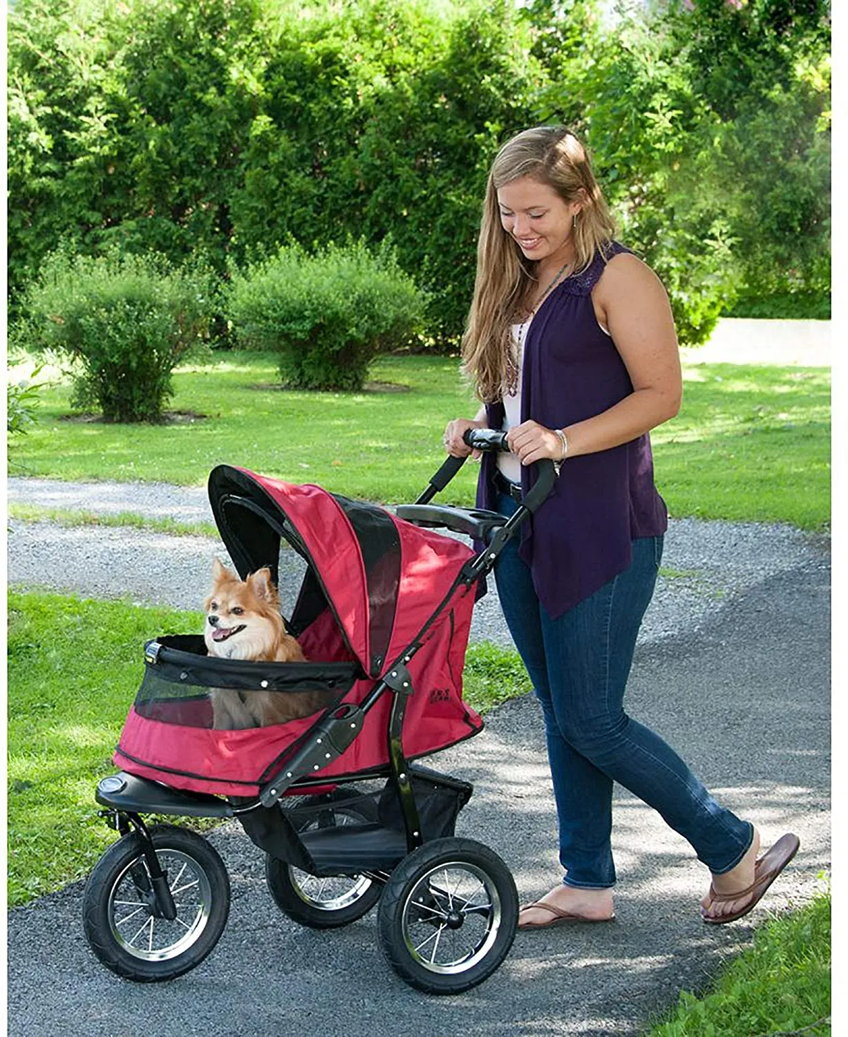 Jogger Pet Stroller - Pet Gear Jogger No-Zip Pet Stroller