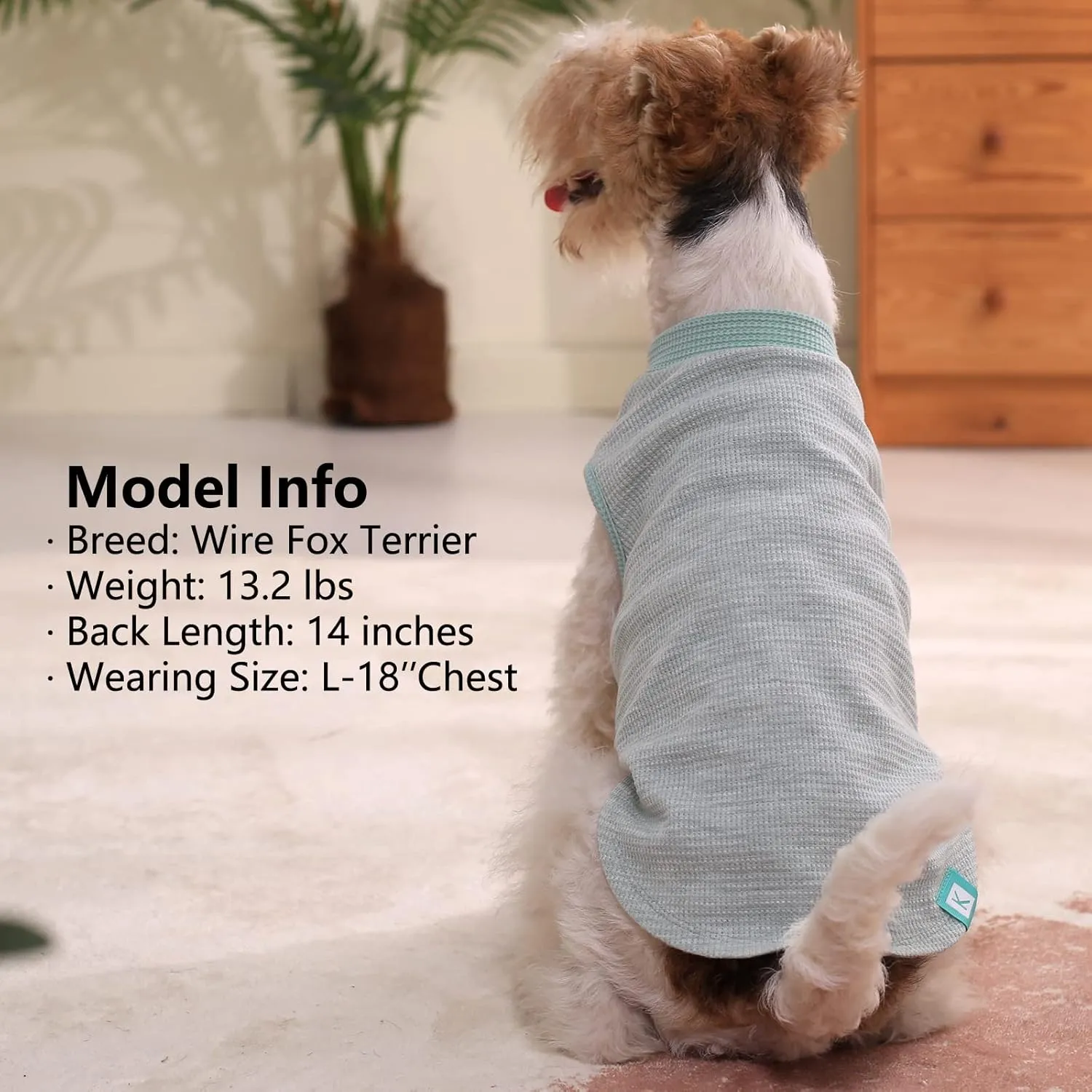 KYEESE 2Pack Dog Shirts Waffle for Small Dogs Stretchy Dog T-Shirts Lightweight Tank Top Sleeveless Vest Breathable Cat Shirt, Medium, Green Grey