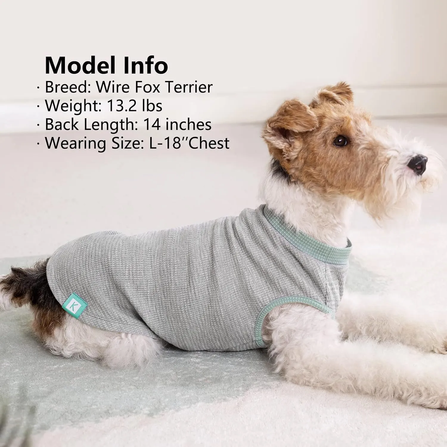 KYEESE 2Pack Dog Shirts Waffle for Small Dogs Stretchy Dog T-Shirts Lightweight Tank Top Sleeveless Vest Breathable Cat Shirt, Medium, Green Grey