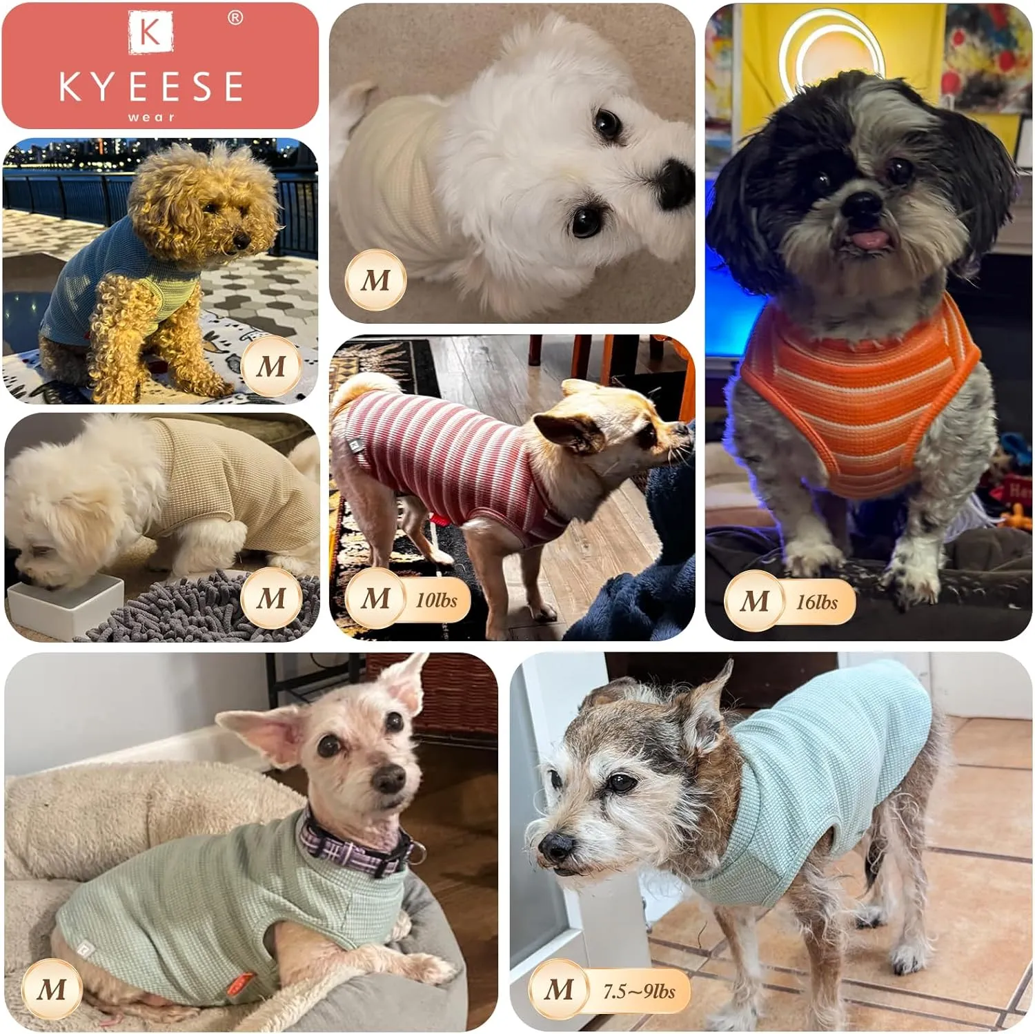 KYEESE 2Pack Dog Shirts Waffle for Small Dogs Stretchy Dog T-Shirts Lightweight Tank Top Sleeveless Vest Breathable Cat Shirt, Medium, Green Grey