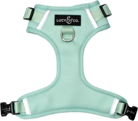 Lucy & Co. The Spring Green No-Pull Dog Harness  Size Small Vest to Stop Pulling & Walk Easy  Comfortable Leash Training Product w/Adjustable Chest & Neck Straps