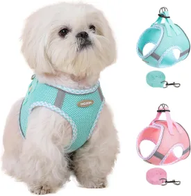 M Size Green Dog Harness and Leash Set, Breathable Mesh Medium Dog Vest, No-Pull Adjustable Chest Strap with Reflective Safety Strips, Lightweight Walking Gear for Small to Medium Dogs