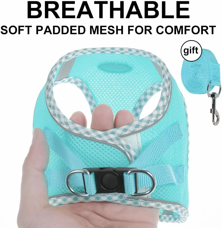M Size Green Dog Harness and Leash Set, Breathable Mesh Medium Dog Vest, No-Pull Adjustable Chest Strap with Reflective Safety Strips, Lightweight Walking Gear for Small to Medium Dogs