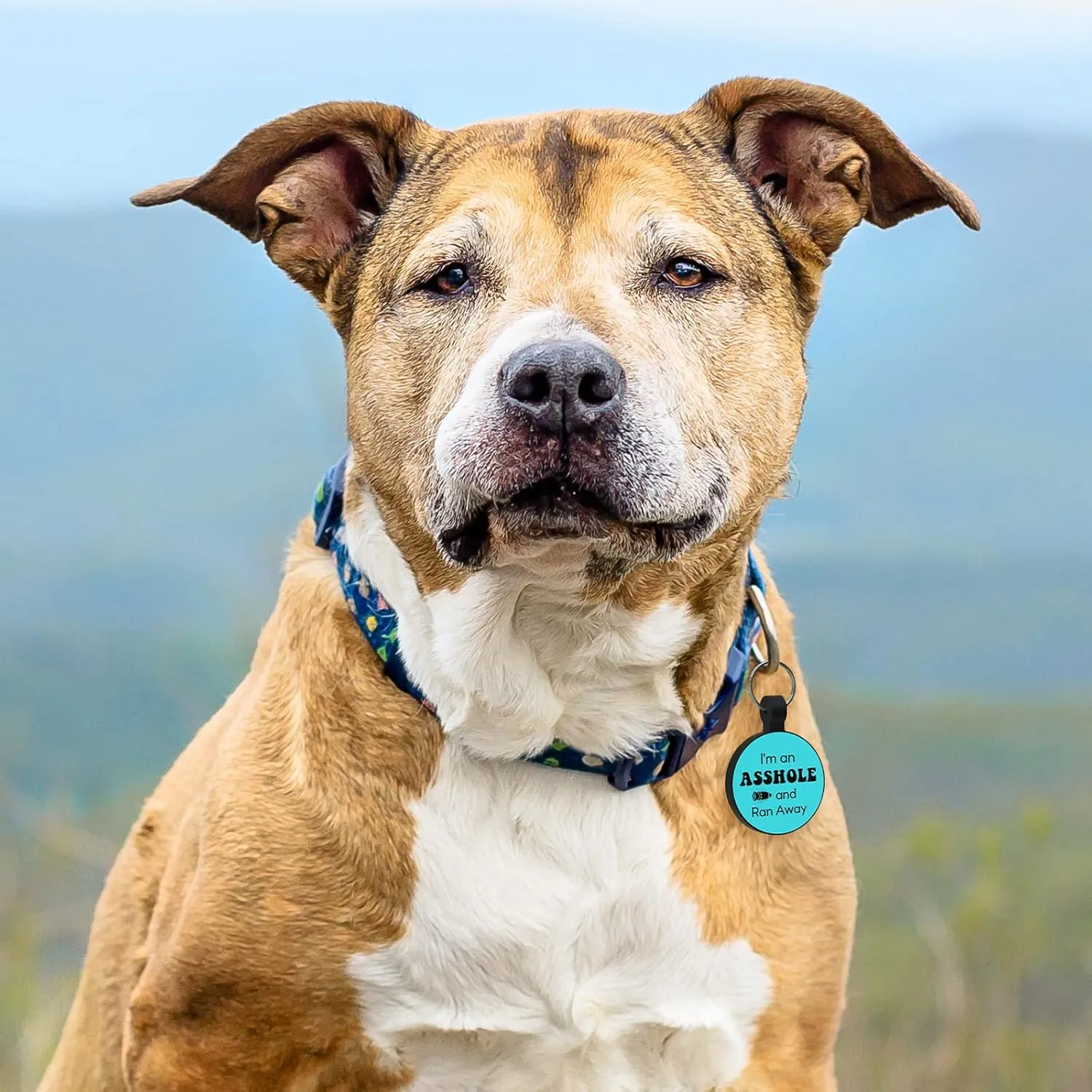 MYLUCKYTAG QR Code Silicone Dog/Cat ID Tag - Online Profile, Location Alert, Durable Pet Collar Tag
