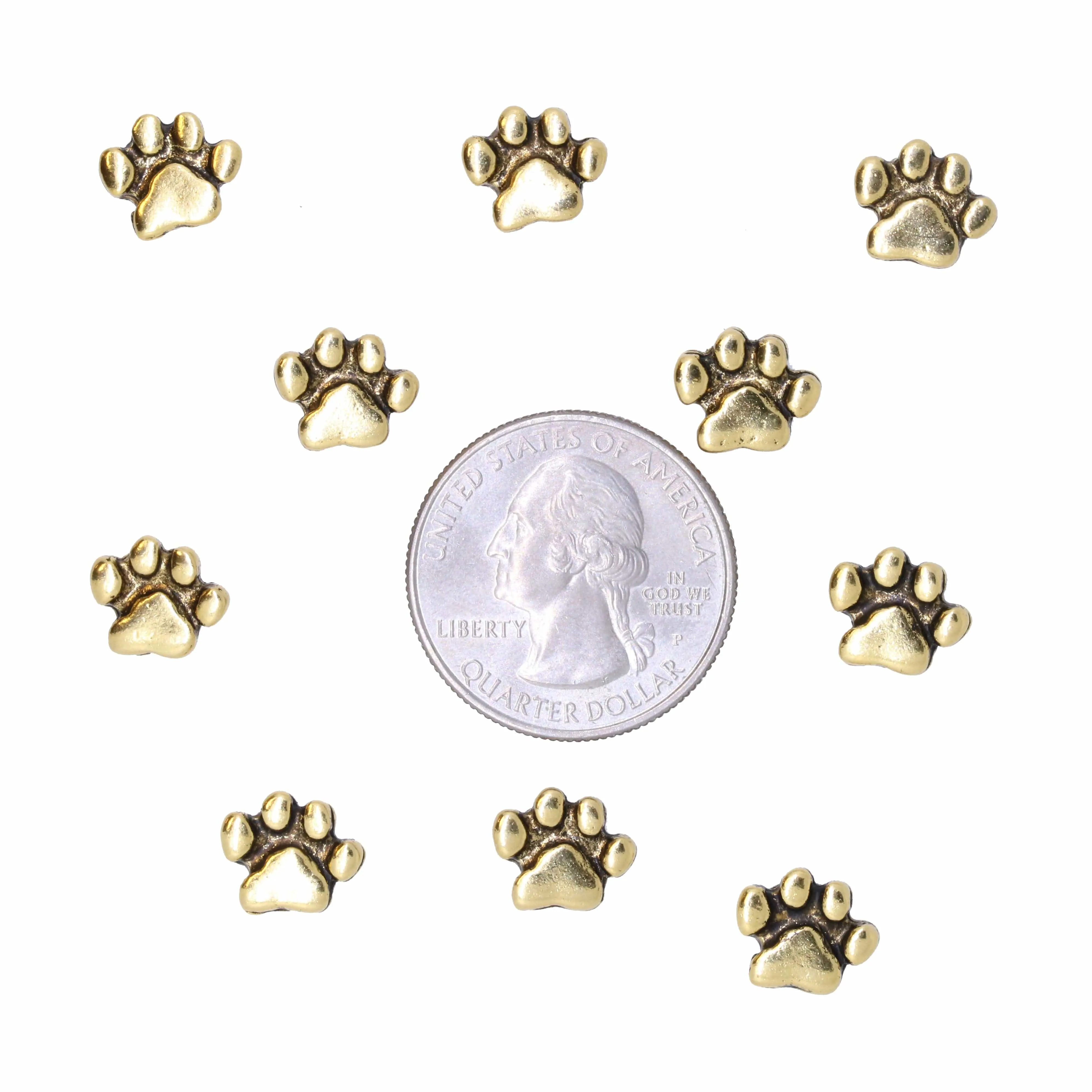 Paw Print Pushpins