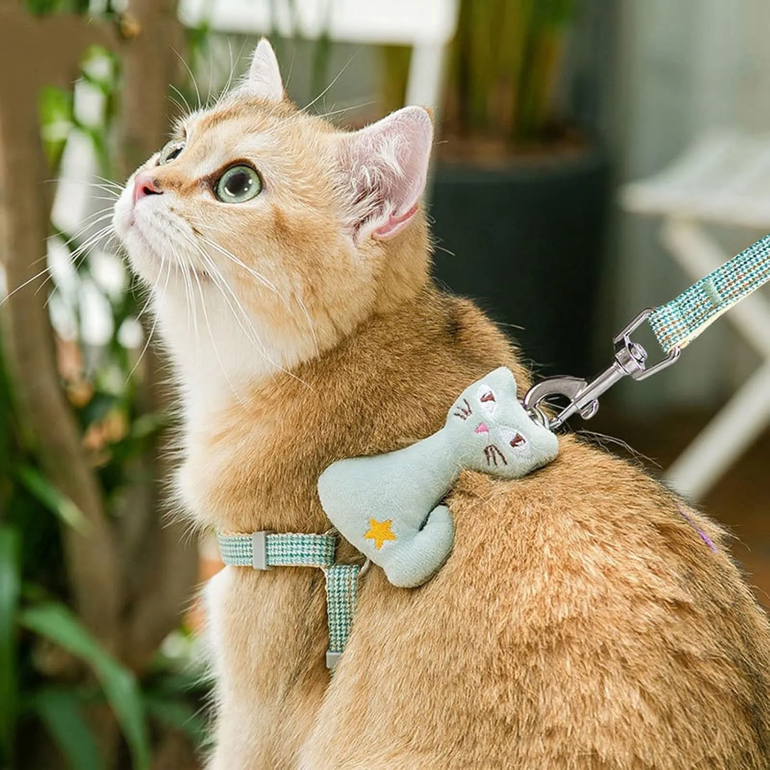 Pet Collars Cartoon Small Cat Collar Harness Vest Adjustable Pet Harness for Cats Walking Rope Fairy Kitten Accessories Breakaway Cat Collar(Rojo,Medium)
