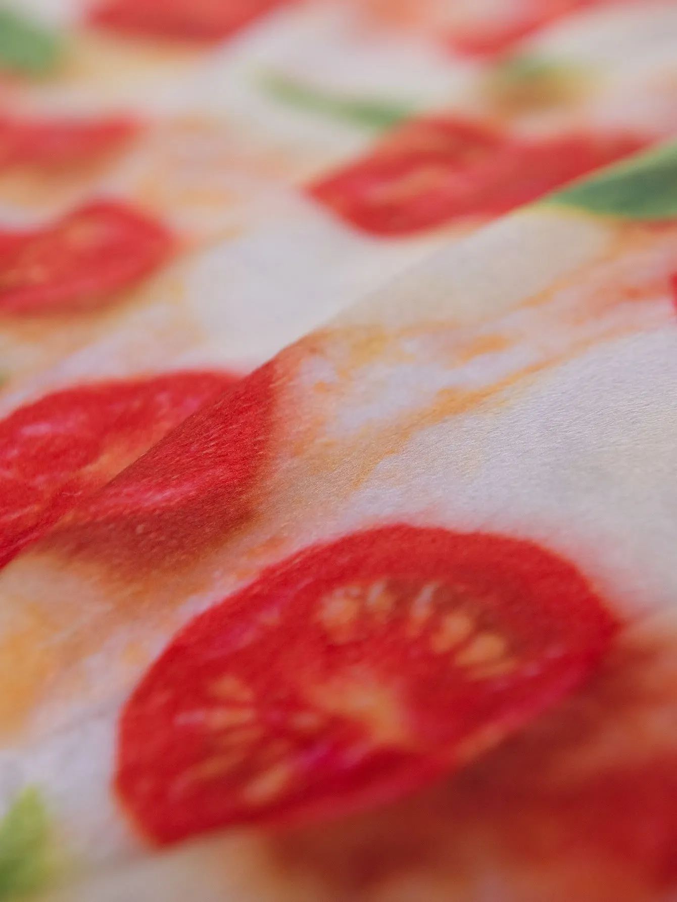 Pizza Pattern Pet Crate Mat
