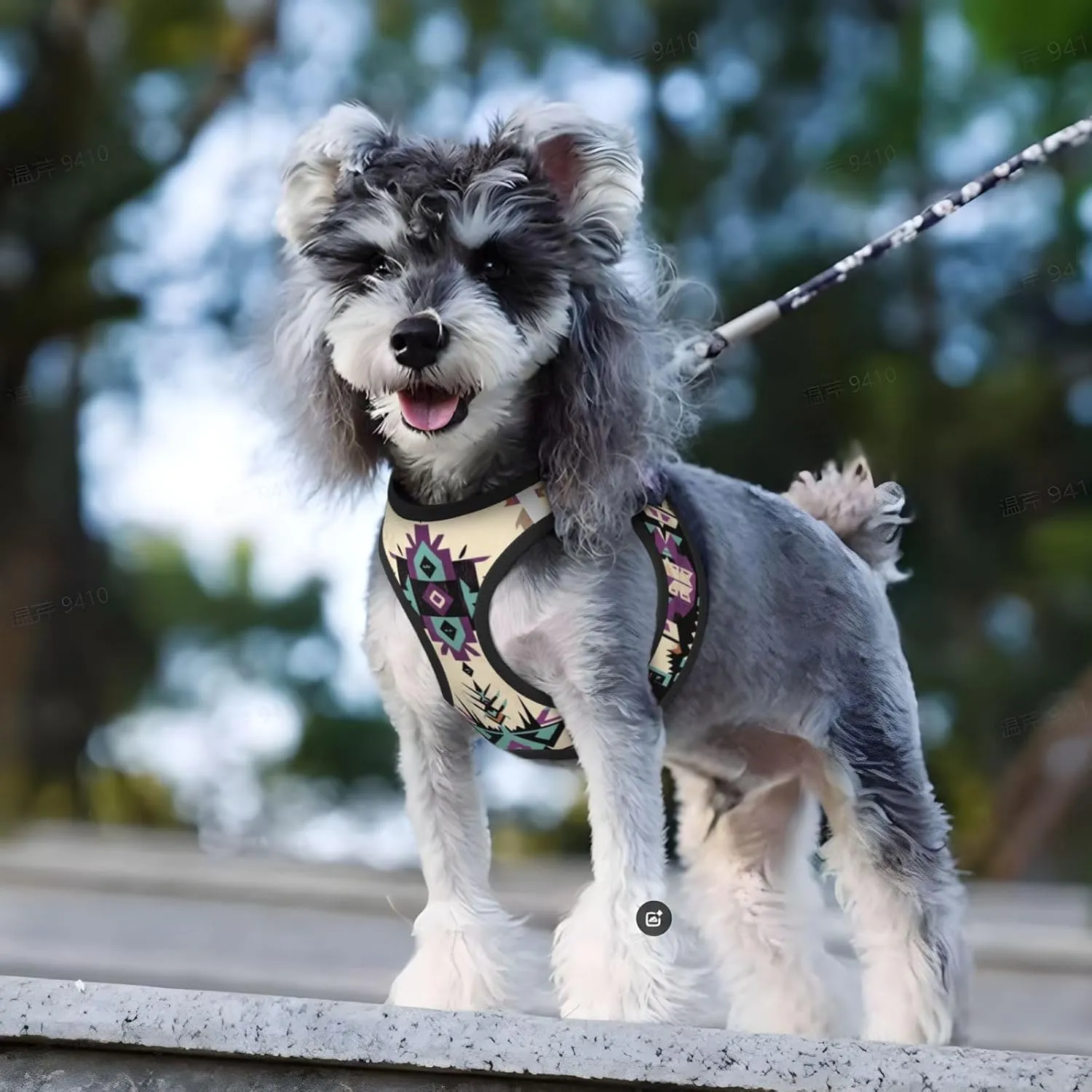Purple Native American No Pull Dog Harness and Leash Set, Reflective Vest for Small Dogs, Adjustable Breathable Cute Soft Mesh Puppy Harness for Walking Hiking,Small