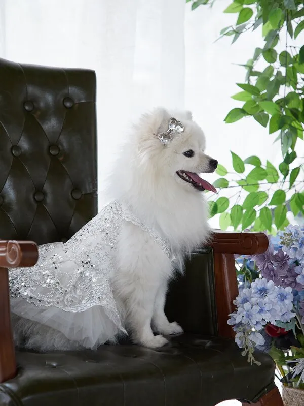 "Deidra" Elegant Filigree Pet Dress