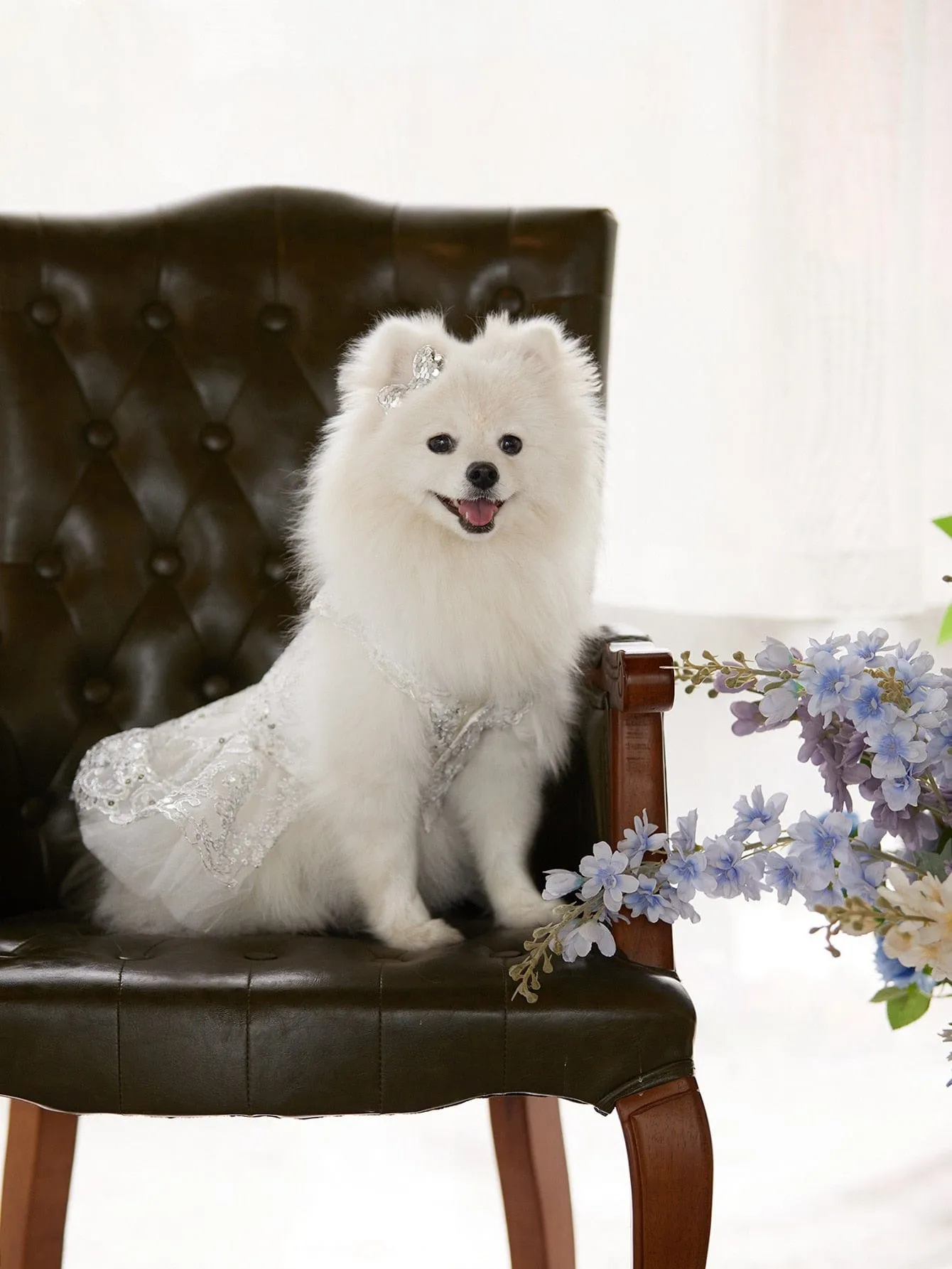 "Deidra" Elegant Filigree Pet Dress