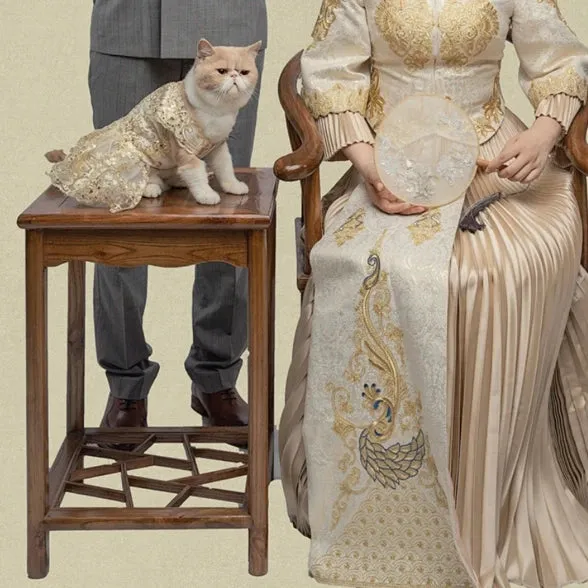 "Deidra" Elegant Filigree Pet Dress