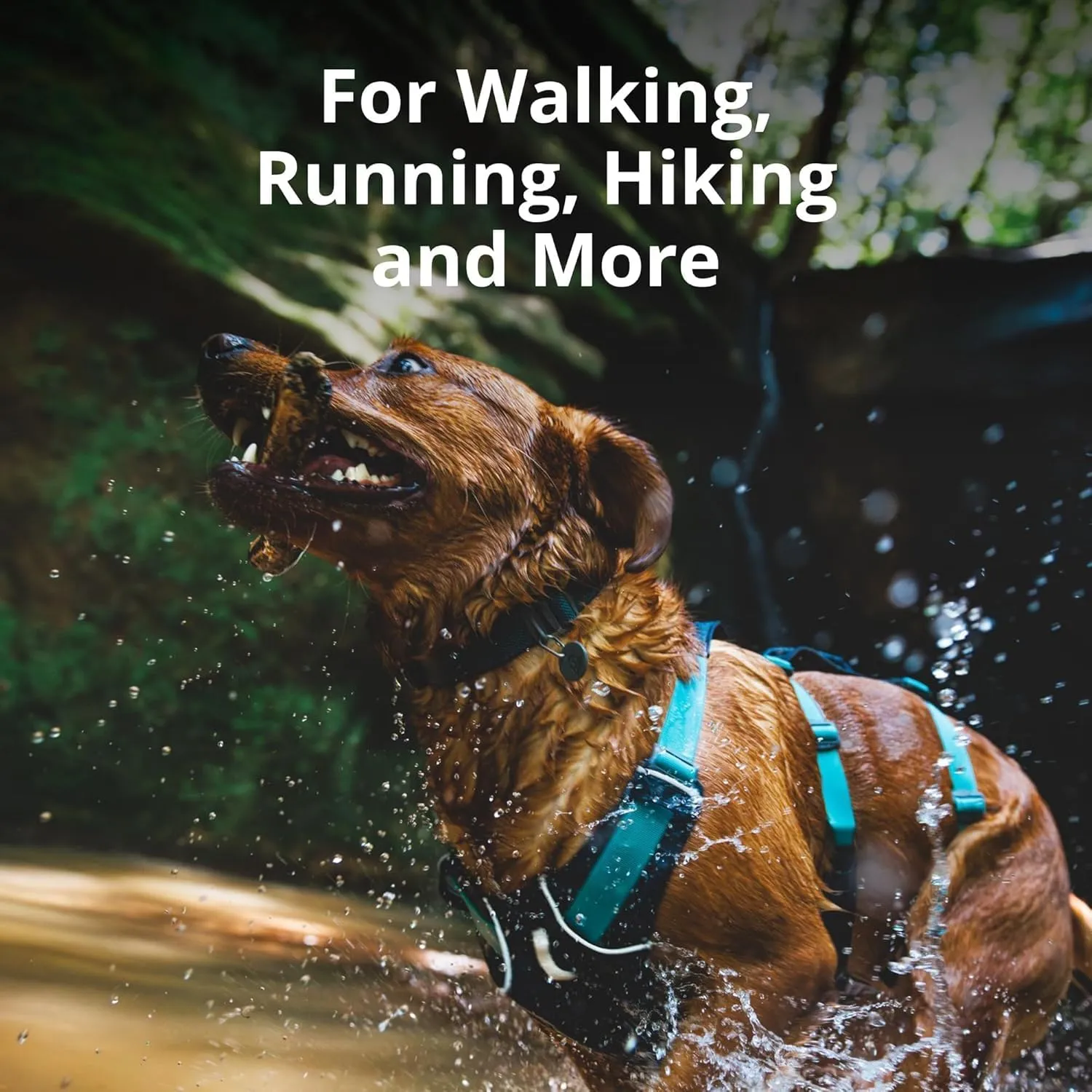Ruffwear, Flagline Dog Harness, Lightweight and Reflective, No Pull Dog Lift Harness for Hiking, Running and Everyday Use, Lichen Green, Medium