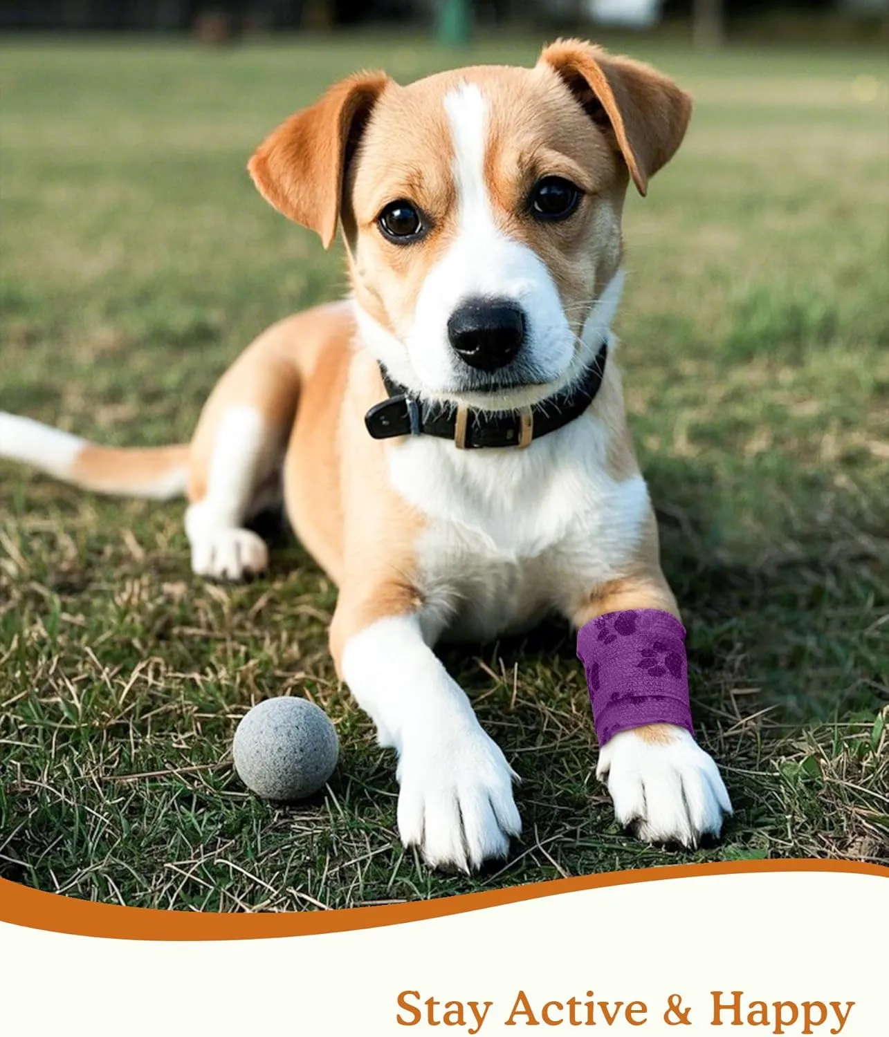 Self-Adhesive Vet Bandage Wrap, First Aid Tape for Dogs, Horses Wound Paw Care, Elastic & Thick Support for Pet, FSA & HSA Eligible, Individually Wrapped, 2 Inch, 8 Rolls, Woodland Paw