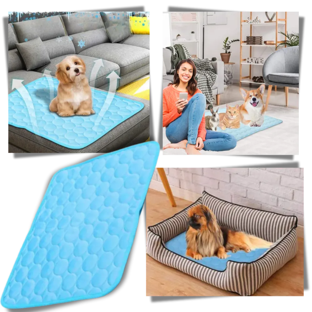 Silk Pet Cooling Pad