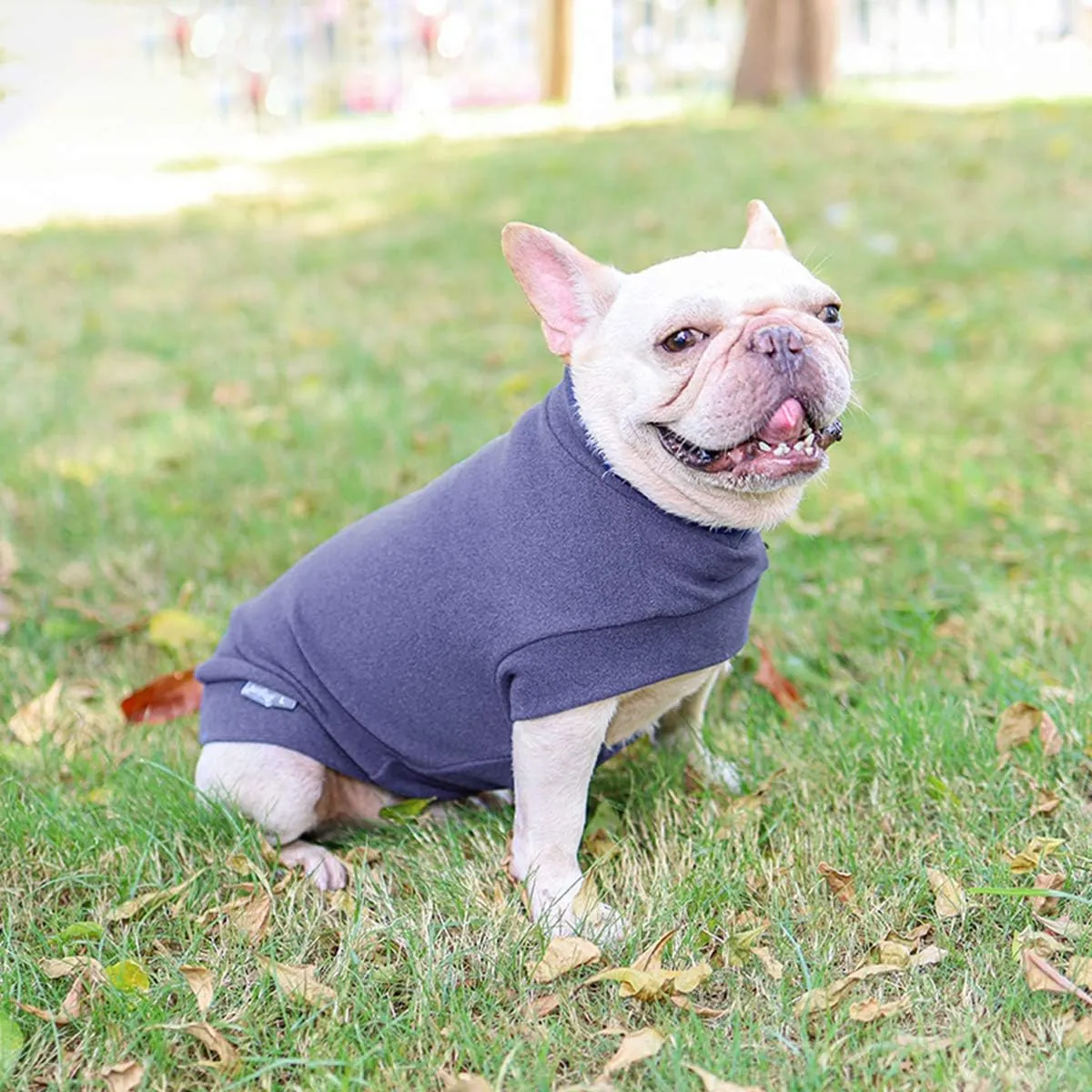 Small Dogs Fleece Dog Sweatshirt - Cold Weather Hoodies Spring Soft Vest Thickening Warm Cat Sweater Puppy Clothes Sweater Winter Sweatshirt Pet Pajamas for Small Dog Cat Puppy Medium, Grayish Purple