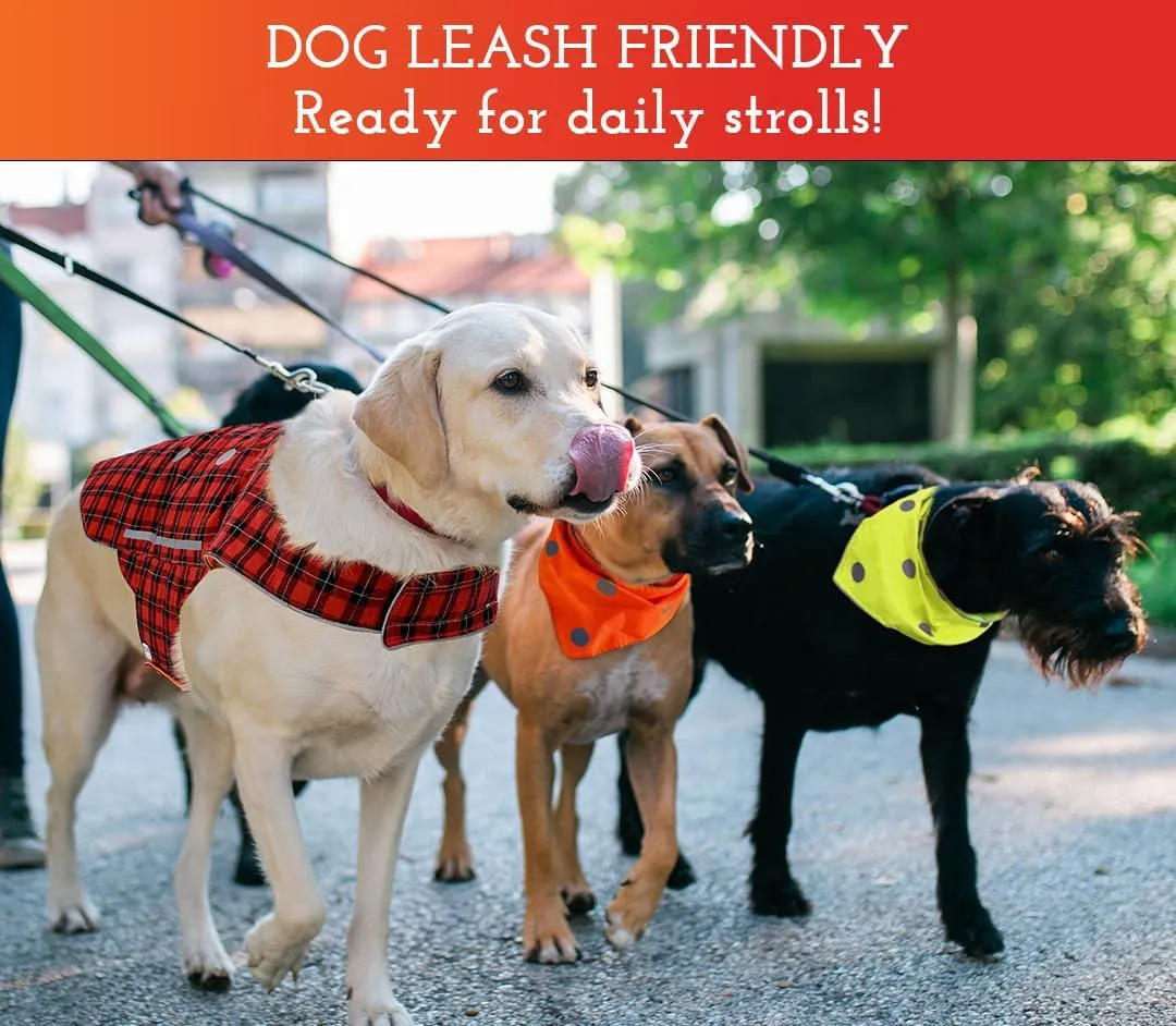 SPOT THE DOG! Reflective Dog Bandanas - High Visibility Tie-On Safety Dog Accessories for Small, Large Dogs, Orange Collar, Scarf, Kerchief, Bib for Hunting, Camping, Walking at Night (Neon Pink, M)