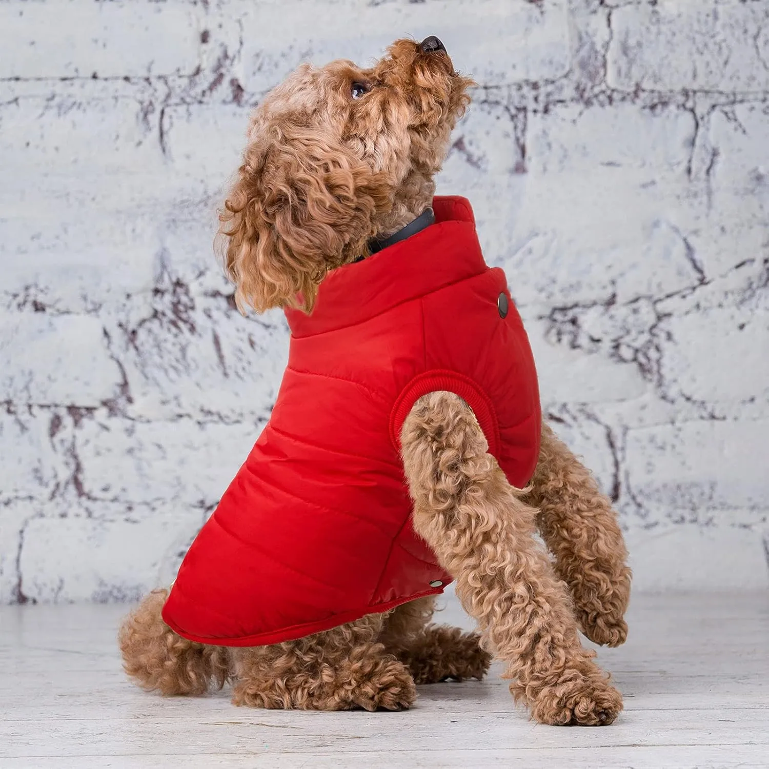 Syhood 2 Pieces Dog Jacket 2 Layers Fleece Lined Dog Jacket Warm Soft Windproof Small Pet Coat for Winter Cold Weather(Medium,Navy, Red)