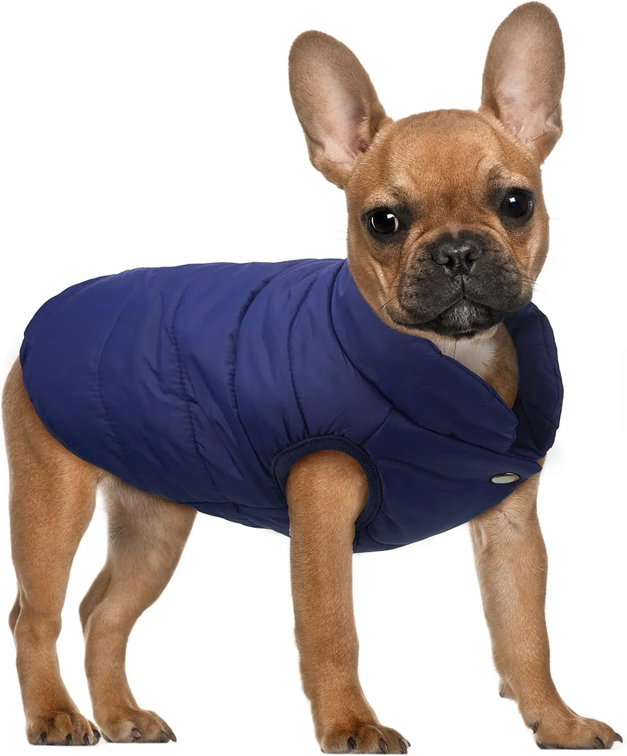 Syhood 2 Pieces Dog Jacket 2 Layers Fleece Lined Dog Jacket Warm Soft Windproof Small Pet Coat for Winter Cold Weather(Medium,Navy, Red)